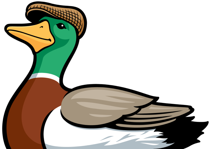 duck