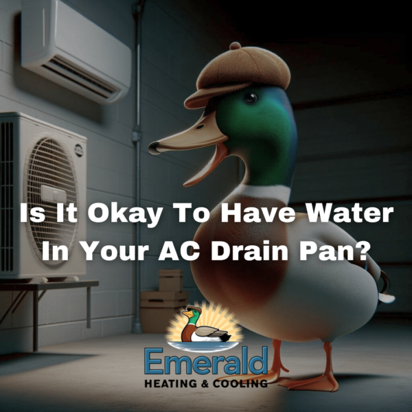 Water in Your AC Drain Pan Emerald Heating & Cooling