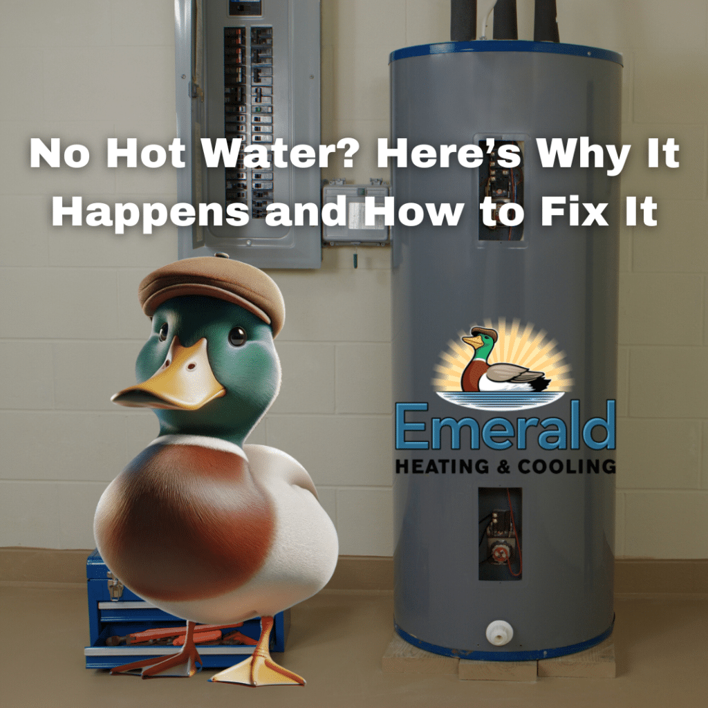 No Hot Water? Here’s Why It Happens and How to Fix It
