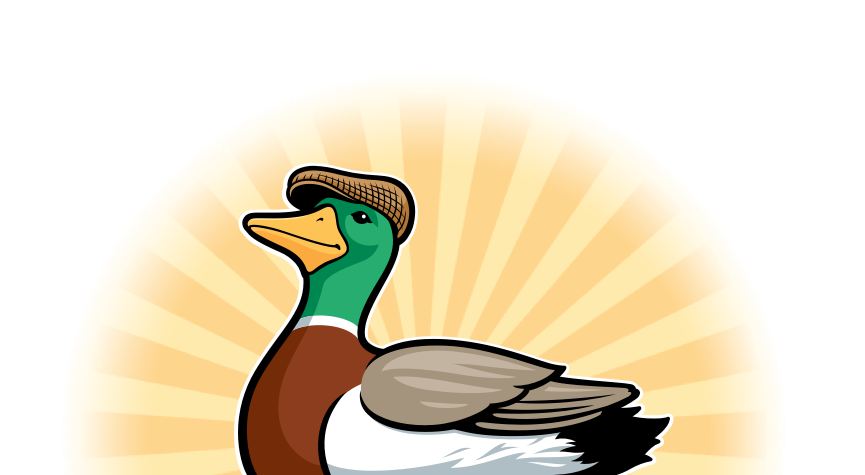 sun burst with emerald duck